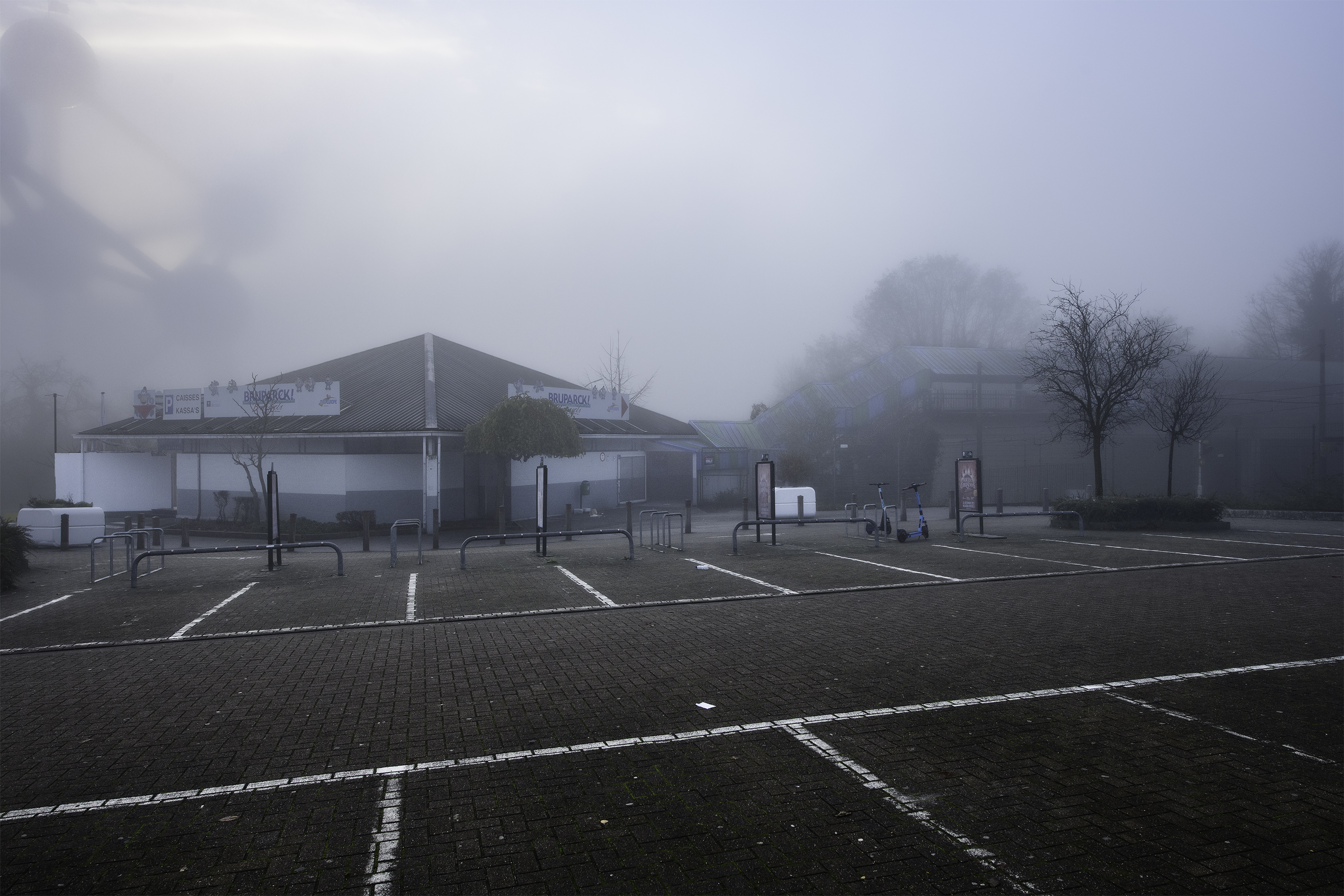Le Ring
