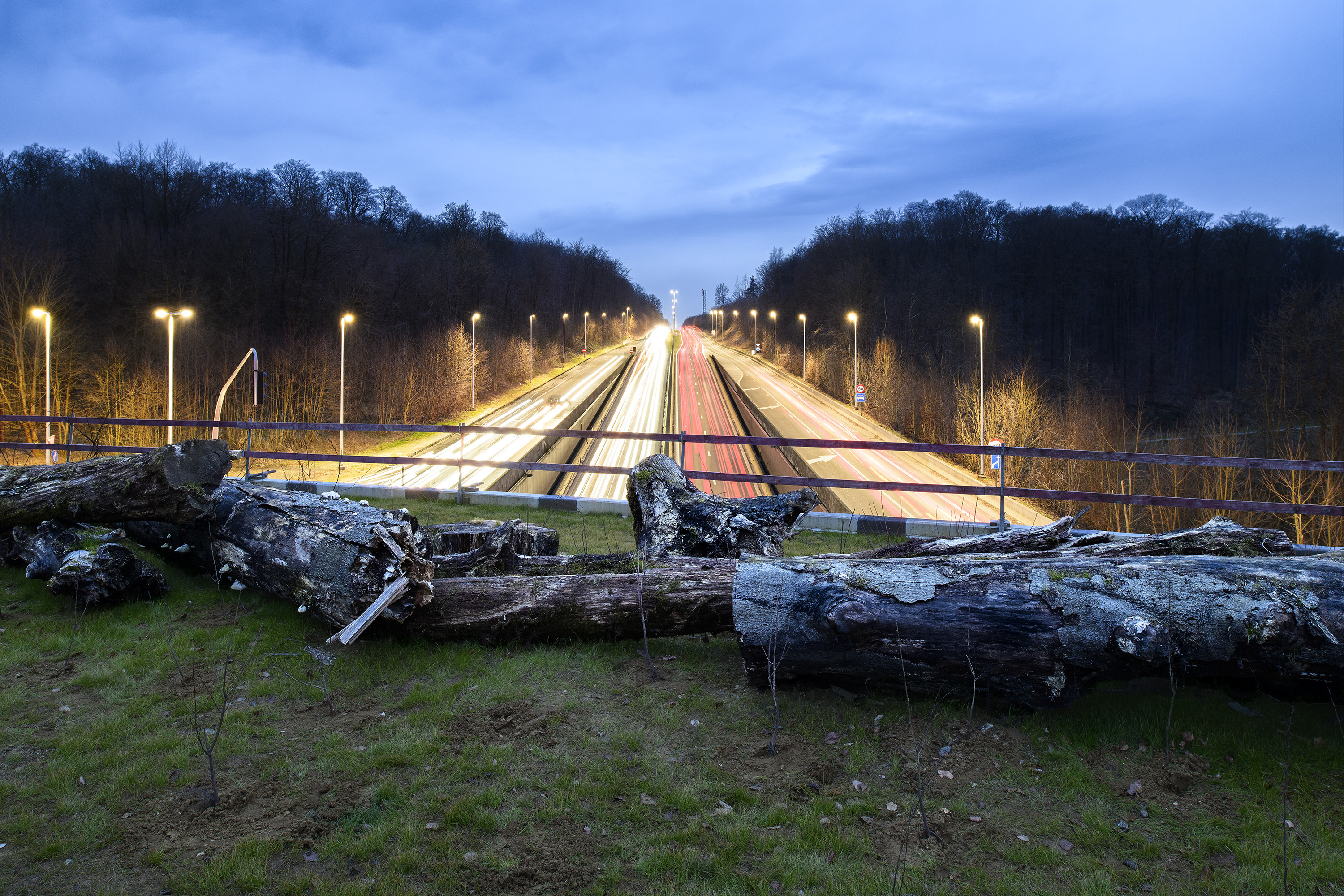 Le Ring © Bram Penninckx