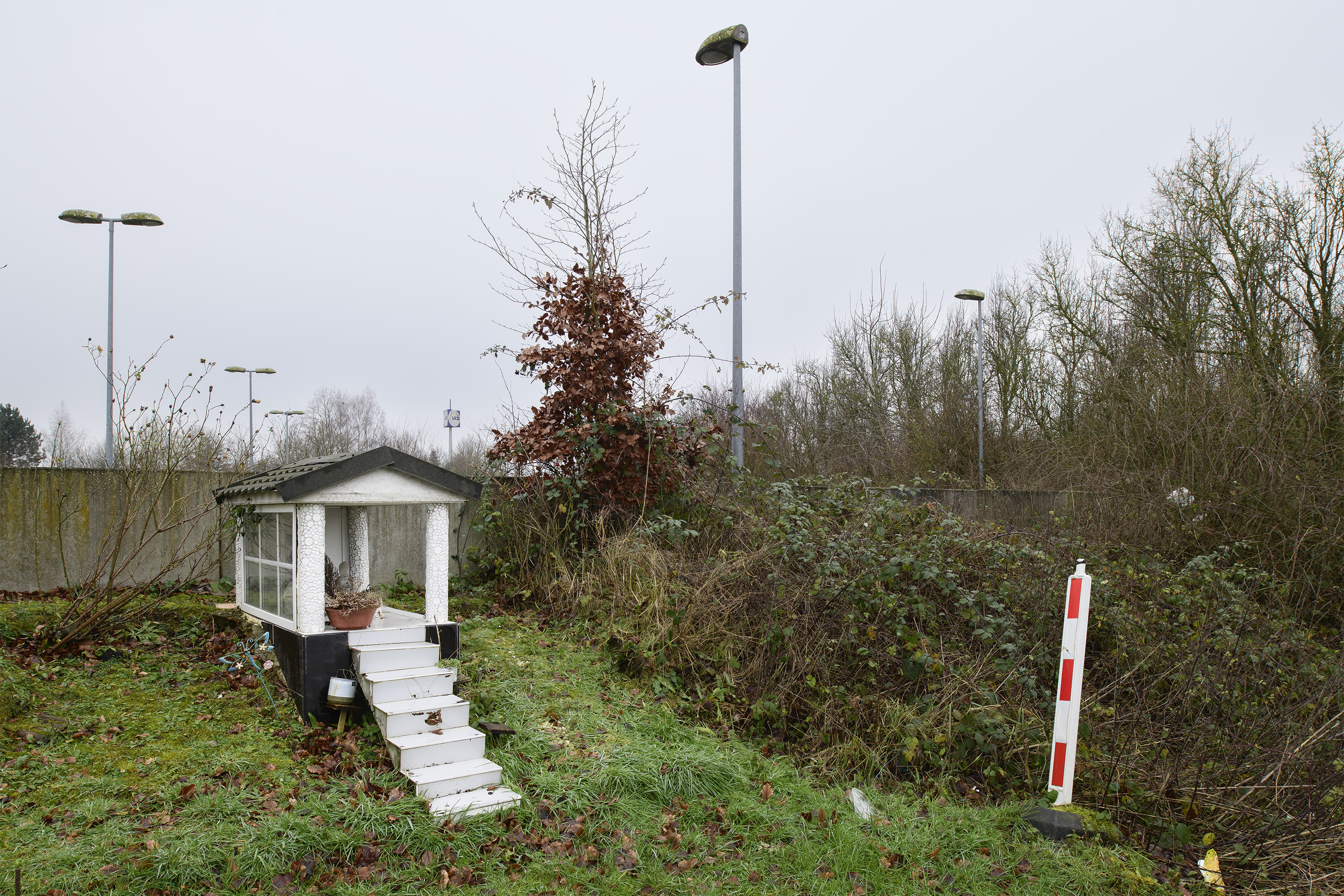 LE RING © Bram Penninckx
